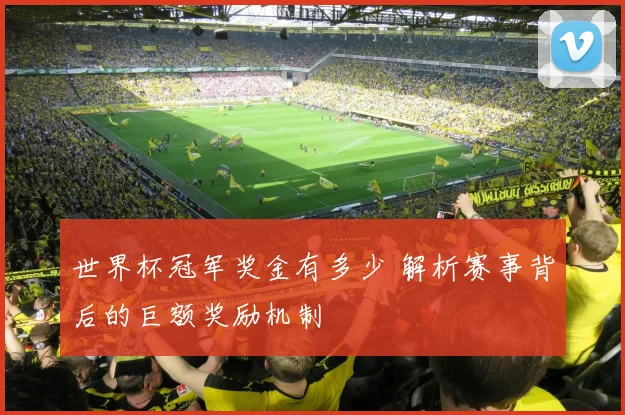 世界杯冠军奖金有多少 解析赛事背后的巨额奖励机制
