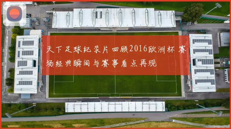 天下足球纪录片回顾2016欧洲杯 赛场经典瞬间与赛事看点再现