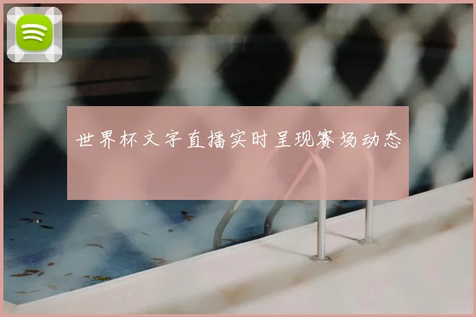 世界杯文字直播实时呈现赛场动态