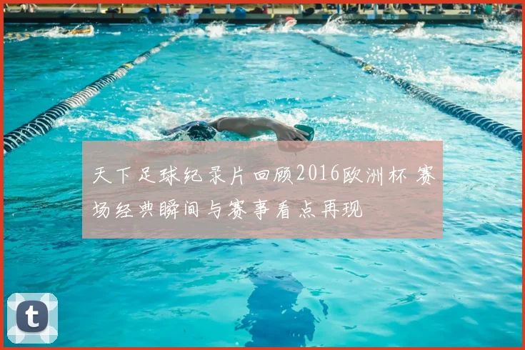 天下足球纪录片回顾2016欧洲杯 赛场经典瞬间与赛事看点再现